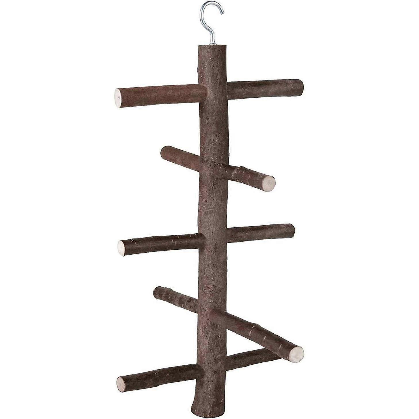 Playground, natural life for birds.