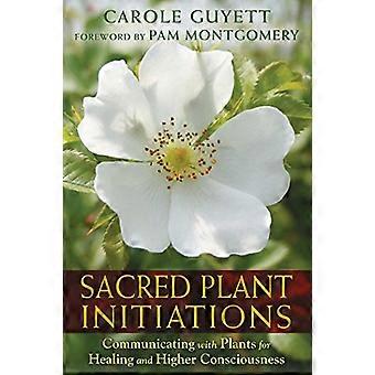 Sacred Plant Initiations Communicating with Plants for Healing and Higher Consciousness
