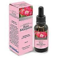 Rosehip Oil 30 ml