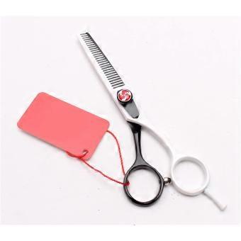 Professional Hair Cutting Scissors Blue Stainless Steel Shears for Salon and Home Use Ergonomic Design