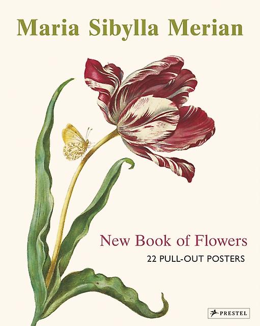 Maria Sibylla Merian by Prestel Publishing Paperback