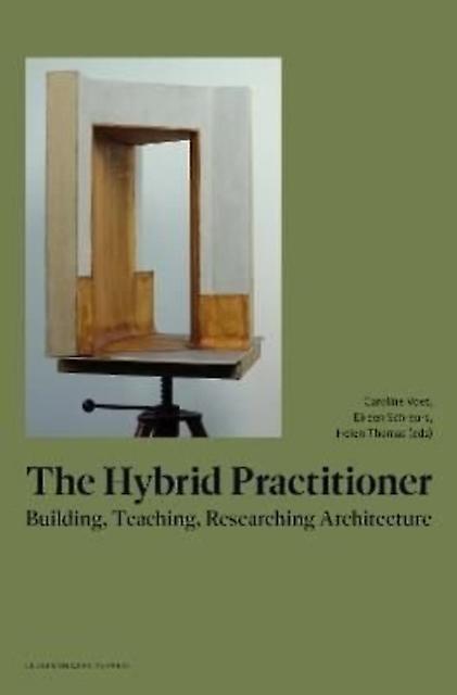 The Hybrid Practitioner Paperback