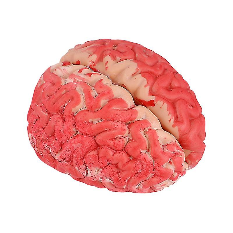 1pcs Fake Brain
