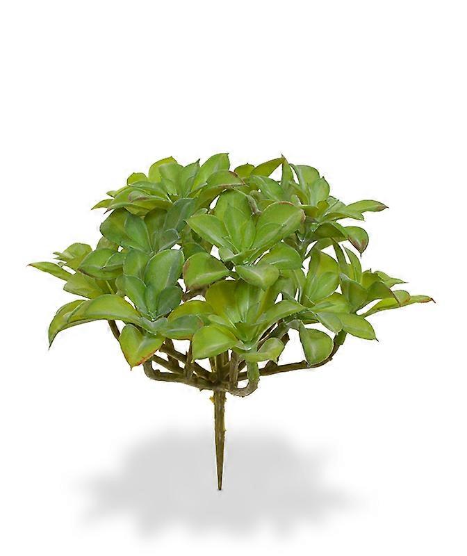 Beautertia buket (15 cm)