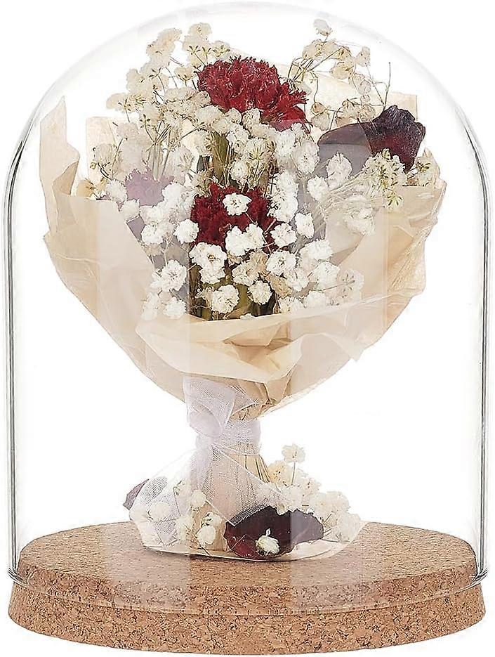 Glass Dome Cover Decorative Display Case Cloche Bell Jar Terrarium with Cork Base Clear 150x190mm Inner Diameter: 143mm
