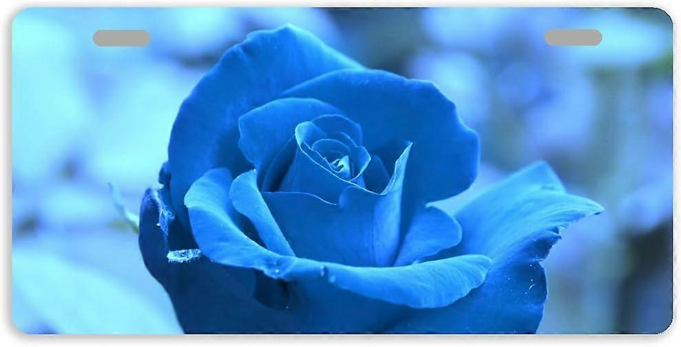 Tampa azul da placa de licença do Tag do carro do metal de Rosa auto com 2 furos 11,8 x 6,1 polegadas