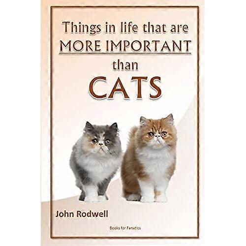 Things in Life That Are more Important than Cats