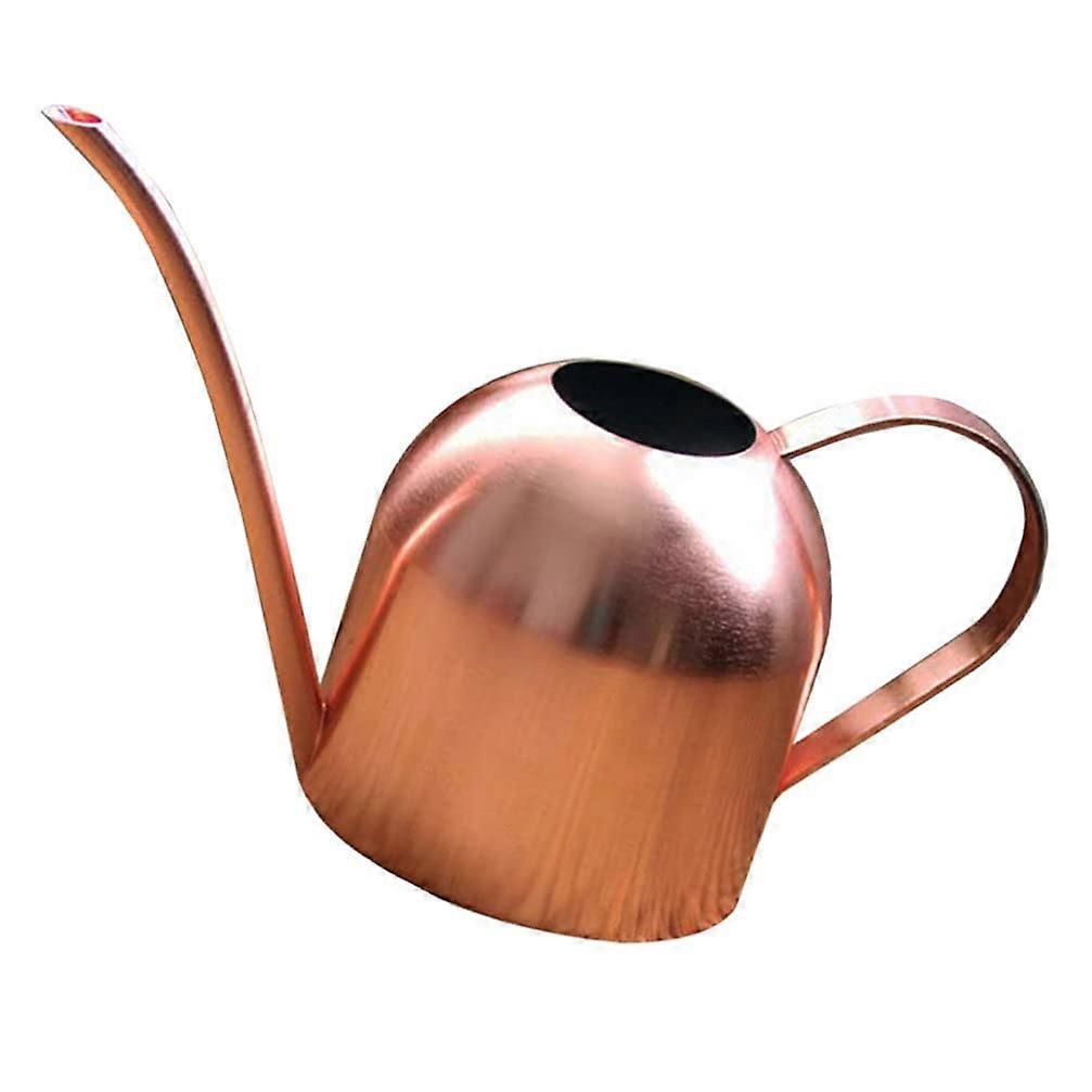 Watering Can 500ml Capacity Rustproof Garden Sprayer With Long Spout Mist Sprayer For Plants