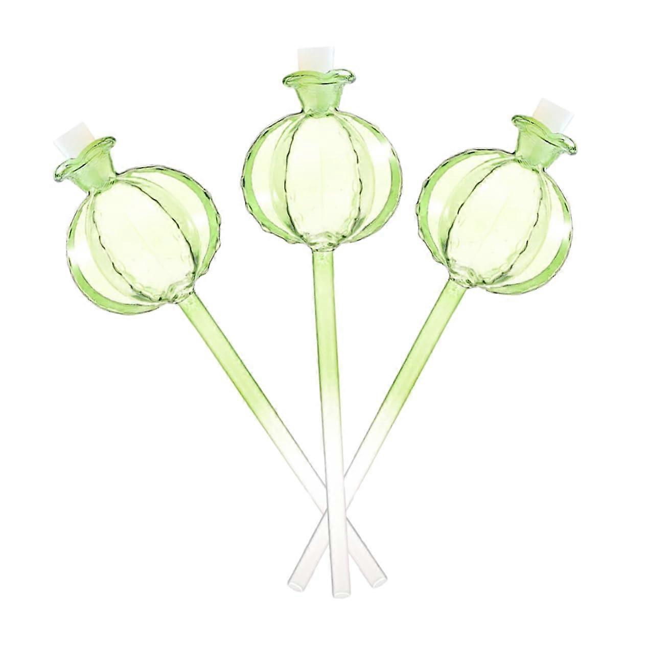 Indoor Plant Watering System Clear Globe Automatic Self-Watering Device for Potted Plants and Flowers