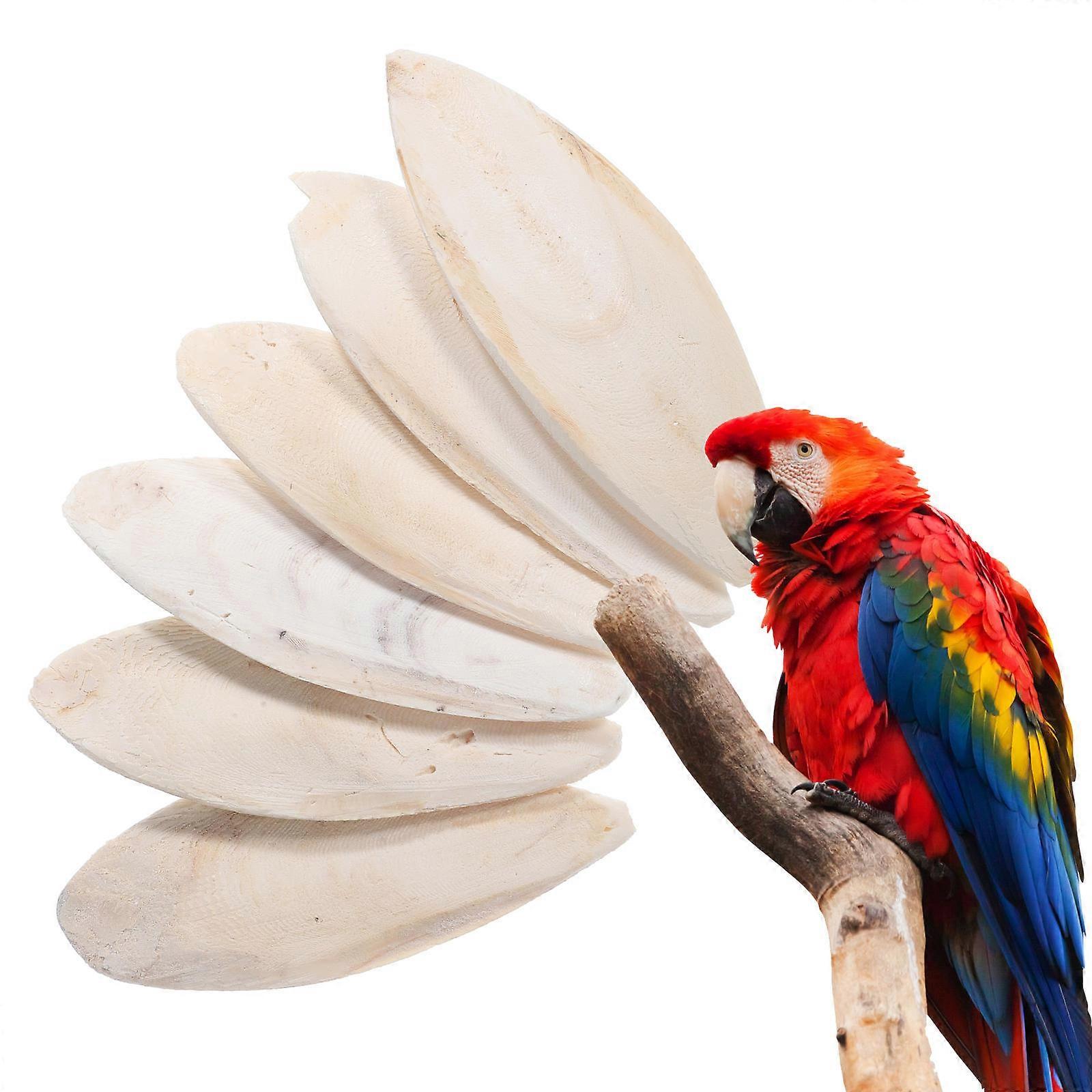 Natural Bird Chew Toy, Cuttlefish Bone for Parakeets and Cockatiel Play