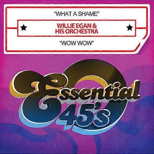 Willie Egan - What a Shame  [COMPACT DISCS] USA import