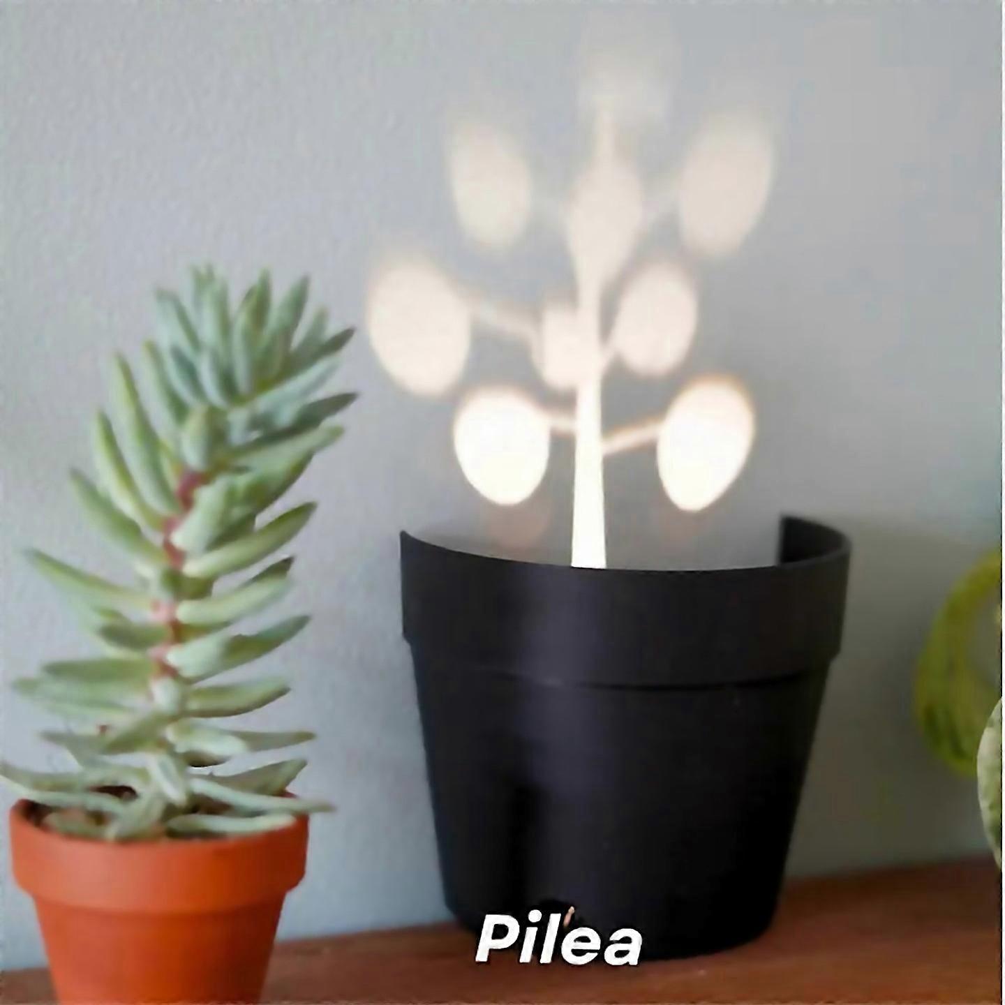 For Indoor Plant Light For Projecting Shadows And Illuminationidealbrown