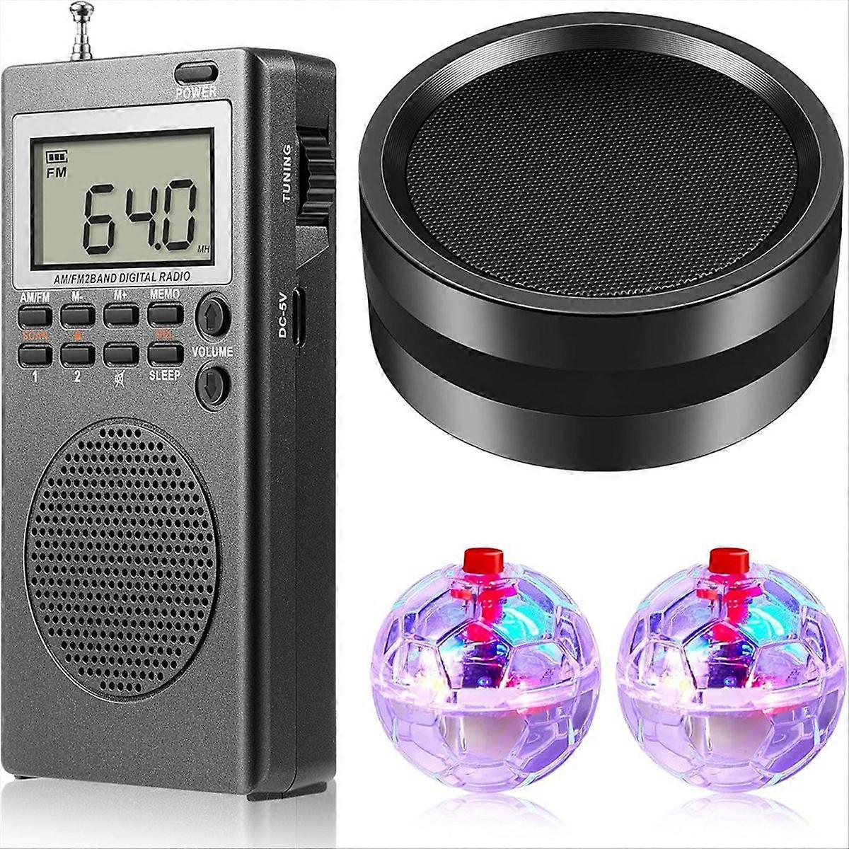 4 Piece Device Kit with 2 LED Cat Balls 1 Radio Paranormal Device Kit