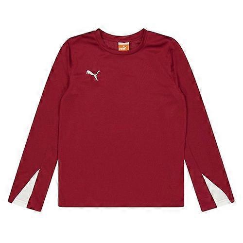 Puma Barn/Barn Laglogotyp Långärmad Topp