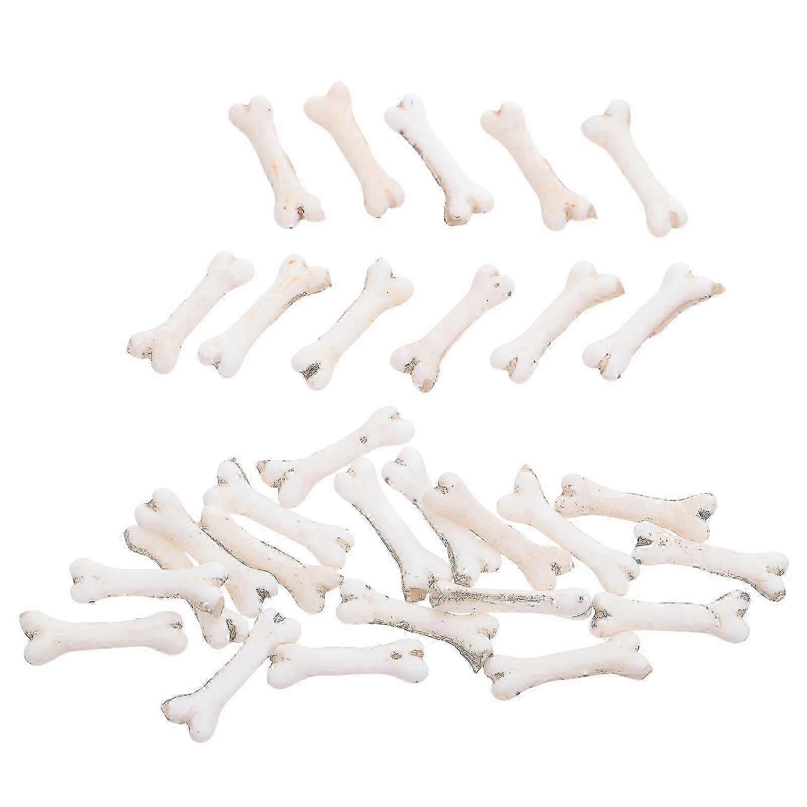 Microscopic Bone Sculpture Mini Skeleton Bone Simulation with 30Pcs