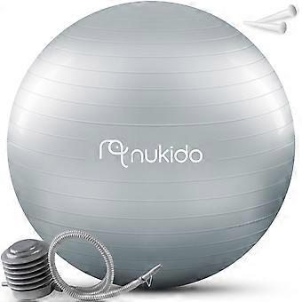 Pregnancy ball for aerobics 65 cm NS-951 gray