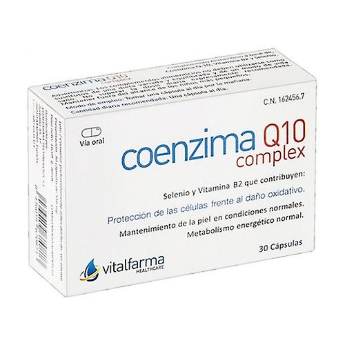 Coenzyme Q10 30 capsules of 40mg