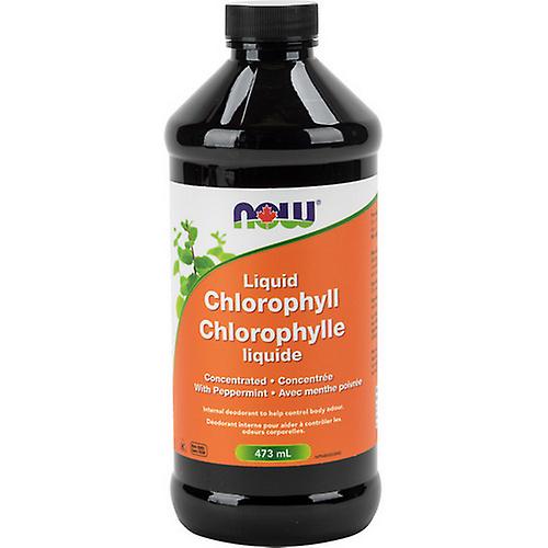 Chlorophyll Liquid + Mint, 473 Ml by Now