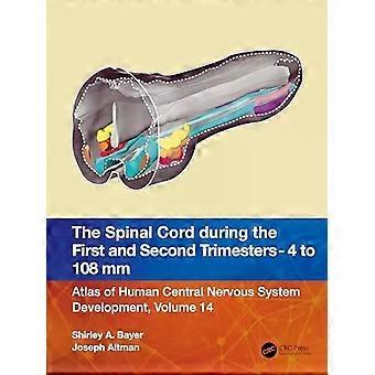 The Spinal Cord During The First And Early Second Trimesters 4- To 108-mm Crown- - Shirley A. Bayer