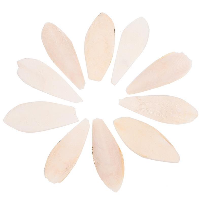10pcs Chewing Cuttlefish Bone Toy