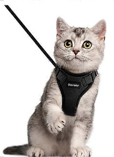 Active rare cat tableware pearl with leash bust 25*51cm