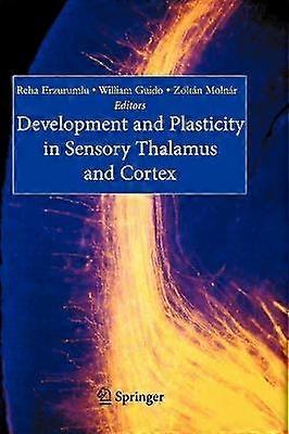 Development and Plasticity in Sensory Thalamus and Cortex