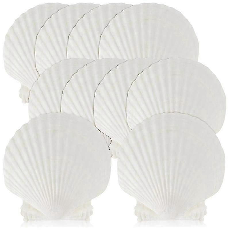 15 PCS Natural Sea Shell Large White, 4-4.7 Inch Scallop Shells for DIY Craft, Serving Food, Baking