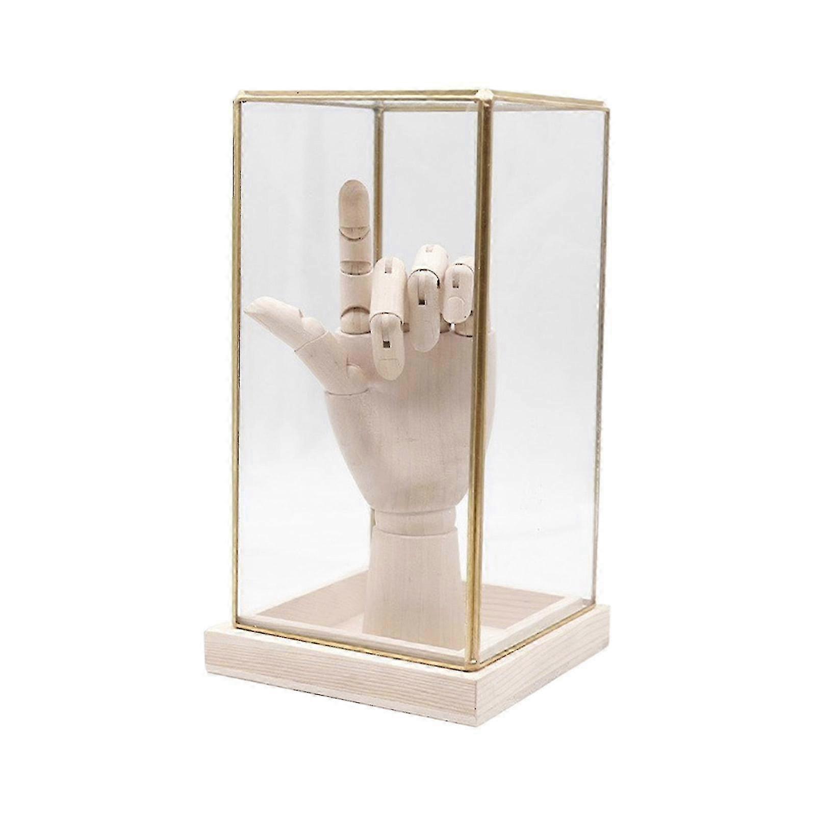 Glass Domes Display Case for Collectibles Art for Interior Designs Enthusiasts Art Display Room Craftwork