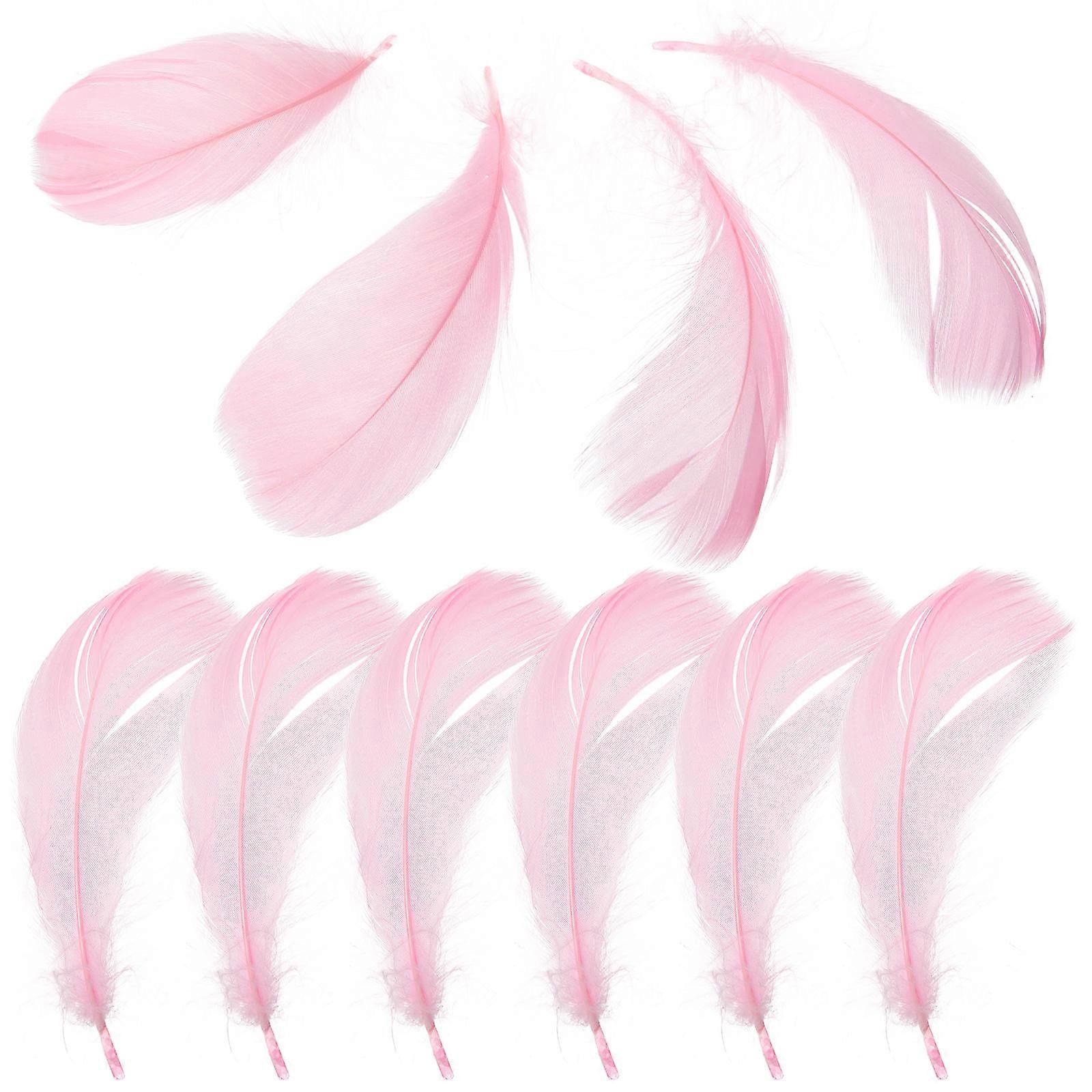 Cosmetics Plume 30 Pcs Decorative Plume Decorations For Vanity Display Featuring Oval Shape And Pink Color