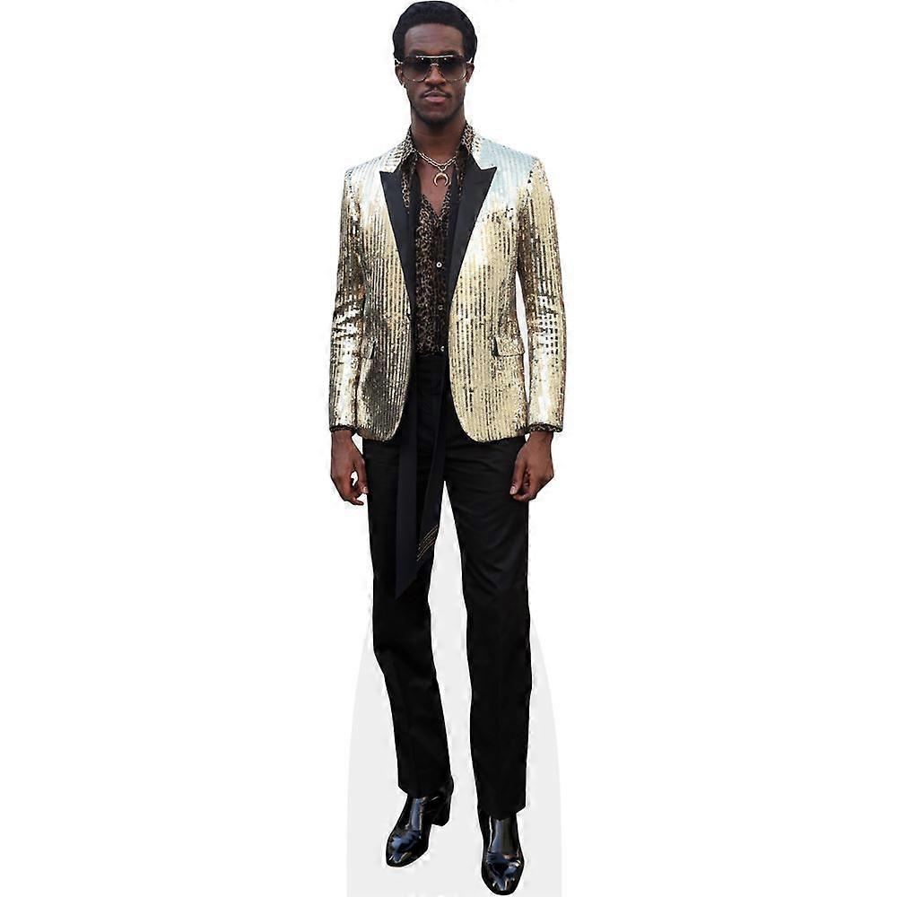 Wisdom Kaye (Gold Jacket) Cardboard Cutout (lifesize OR mini size). Standee. Stand Up.