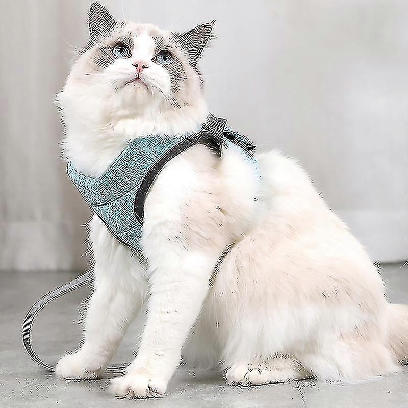 Cat Harness And Leash Set 360 Wrap-around Small Cat And Dog Harness Cushioning And Anti-escape Suitable
