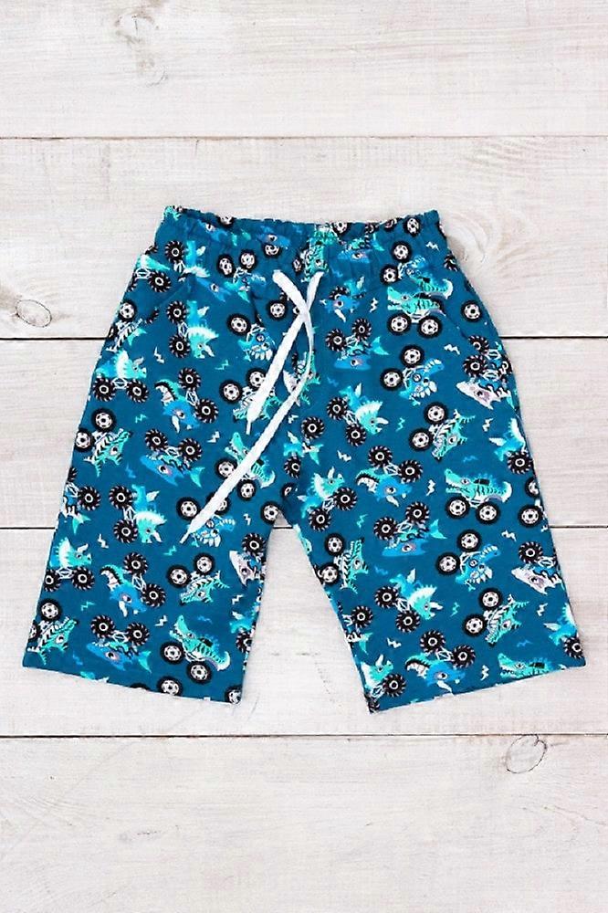 Boys’ Stylish Shorts – Quality Fabric & Modern Design, Summer,  HC 6208-055