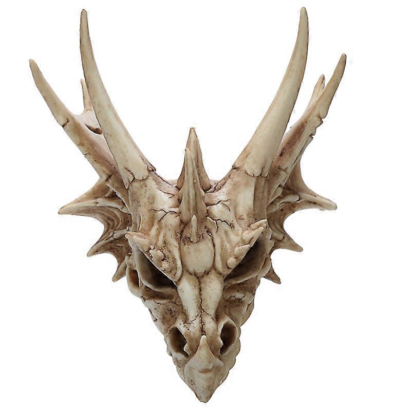 Collectable Dragon Skull 1 Pack