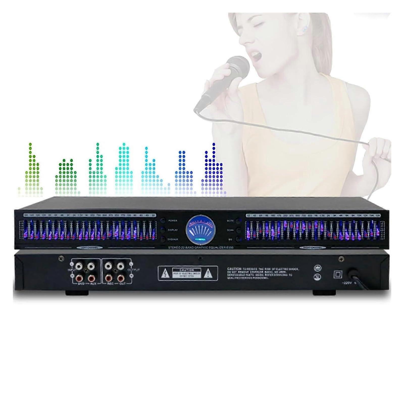 22 Band Digital Audio Graphic Equalizer with Noise Reduction and 10 Preset Effects for Studio