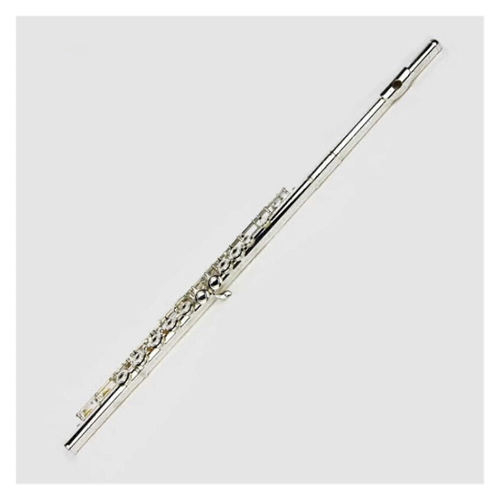 Silver Plated Beginner Flute C Key 16 Closed Hole with Split E, Bright Tone and Accurate Pitch