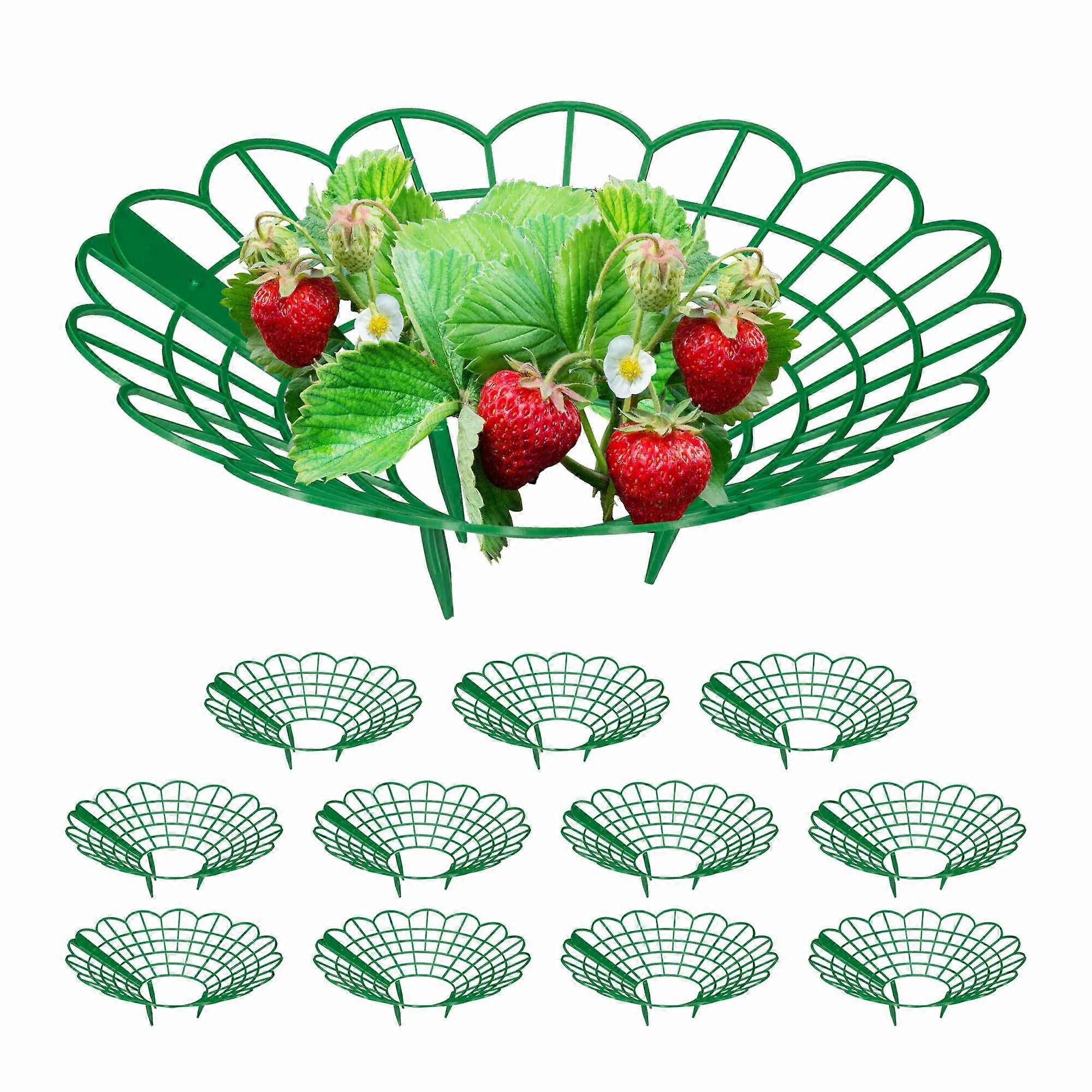 Strawberry holder set