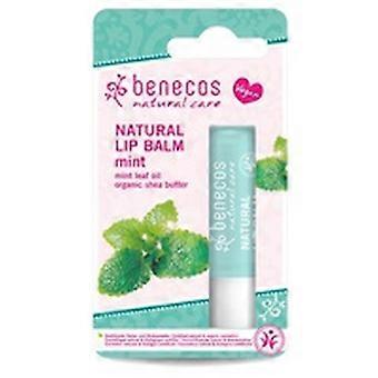 Organic Mint Lip Balm 1 unit (Mint)