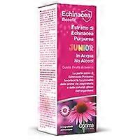 Junior Echinacea Extract 50 ml