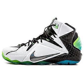 Nike LeBron 12 All Star Game 742549-190
