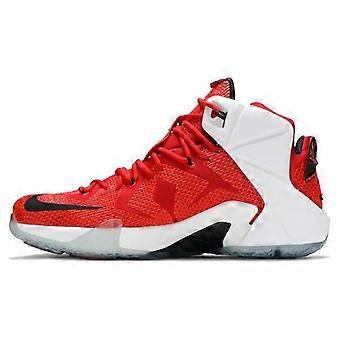 Nike LeBron 12 Heart Of A Lion 684593-601