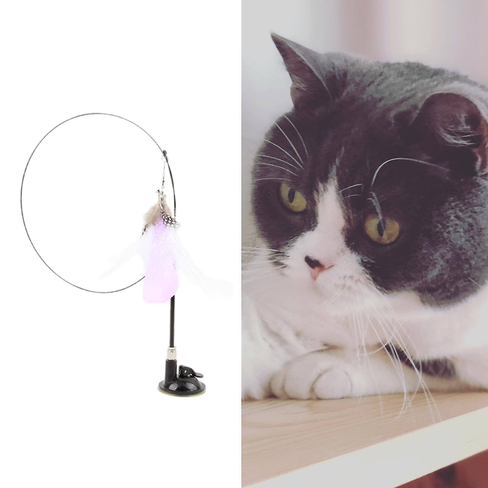 Cat Feather Toy with Long-Rod Funny Cat Teaser Rod for Scratching Exercise