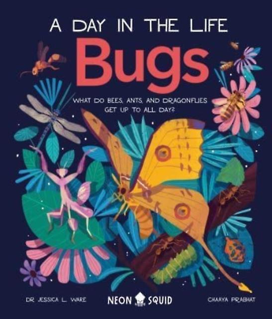 Bugs A Day In The Life by Neon Squid Paperback Book