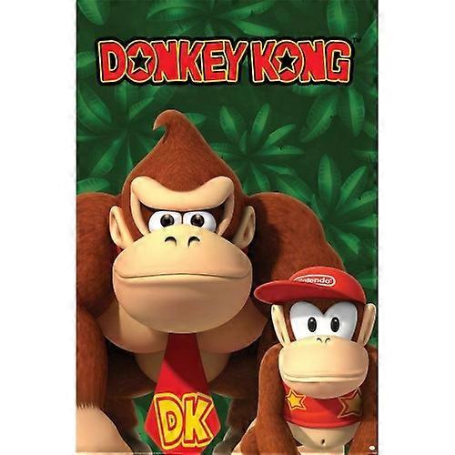 Donkey Kong Maxi Donkey & Diddy Kong Poster