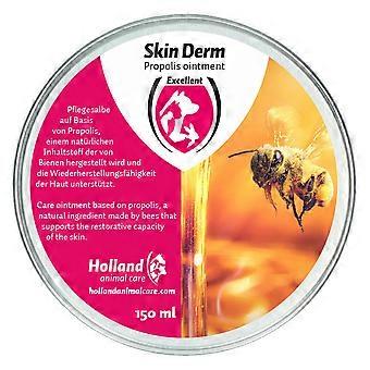Skin Derm Propolis cat shampoo
