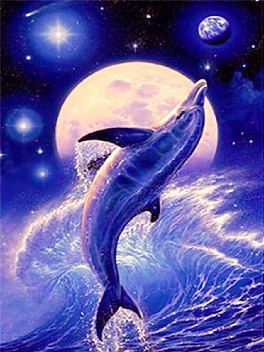 Maalattu 30 * 40cmure 5D timantti Full Diamond Cross Stitch (13)Delfiini timanttimaalaus