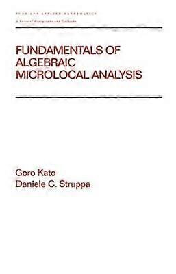 Fundamentals of Algebraic Microlocal Analysis