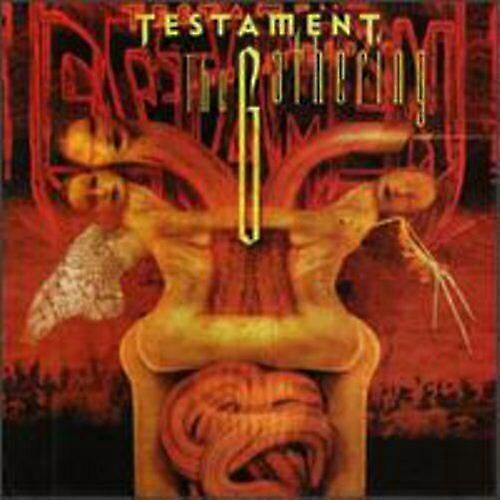 CD de Coleta do Testamento