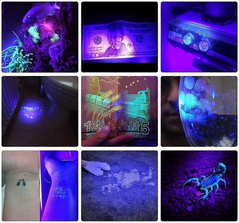 Mini straight purple light 365nm flashlight