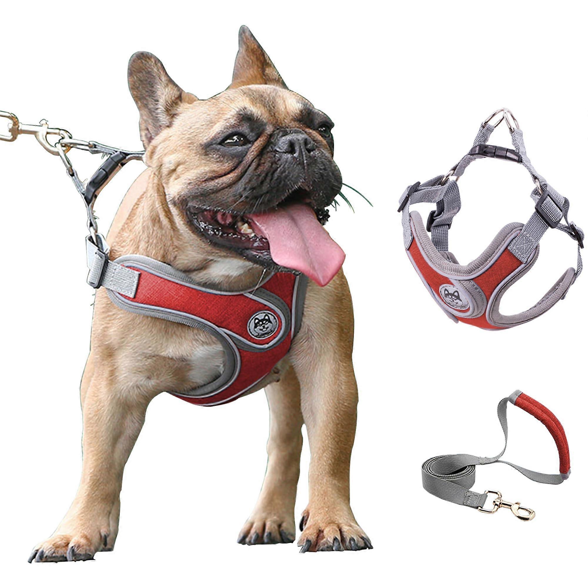 Small Dog Harness Set with Adjustable Vest, Cable Bunch for Hiking, Durable and Comfortable Fit