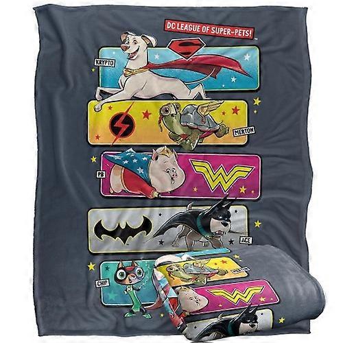 DC Comics League Of Super Pets Character Panel Blanket